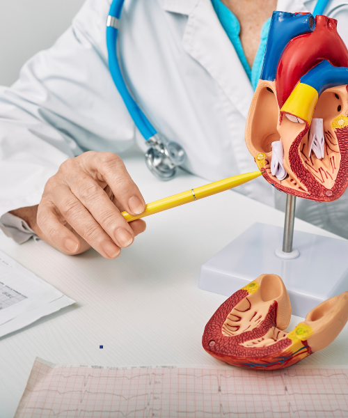 Cardiac Services in Gurgaon