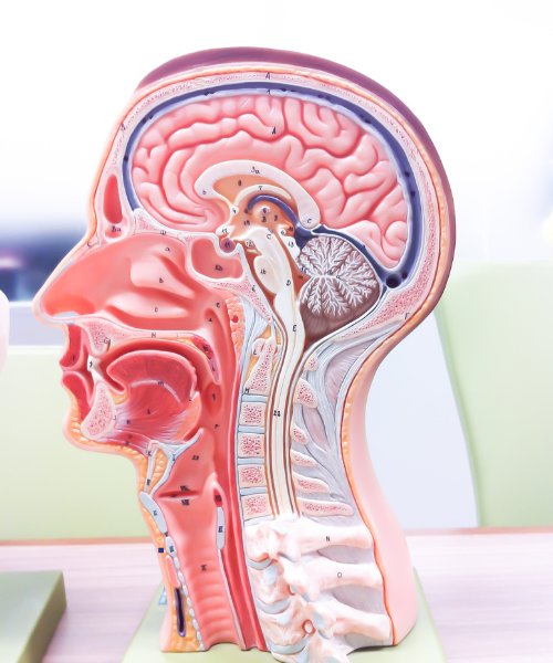 Emergency neurotrauma care at Kalyani Hospital Gurgaon