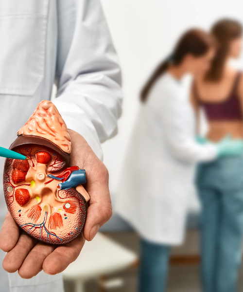 Close-up view of kidney stone detected by ultrasound scan