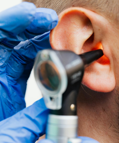 Ear Nose Throat Specialist