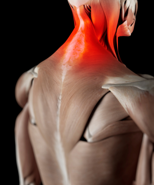 Best treatment for nerve and muscle pain