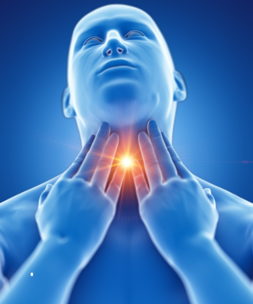 Best ENT Specialist Near Me